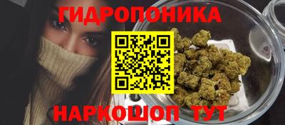 хмурый Можга