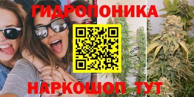 mix Мариинск