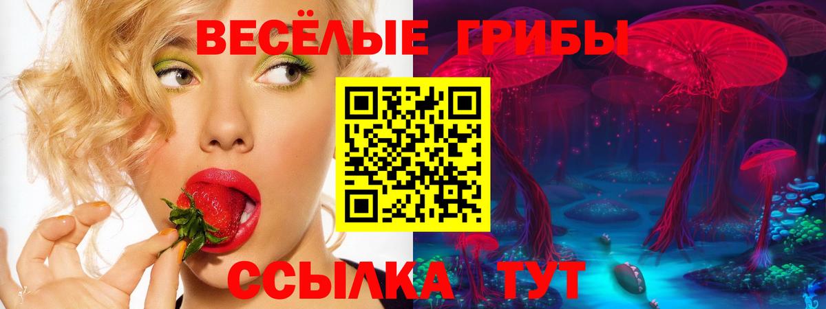 Галлюциногенные грибы мицелий  Вход с VPN  Сургут 